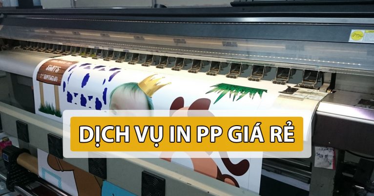 chuyên dịch vụ in pp tại hcm