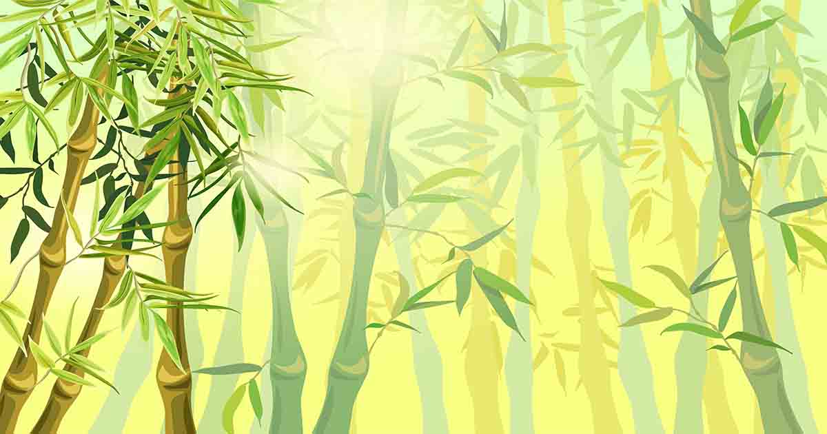 Chia sẻ miễn phí file thiết kế Background tre