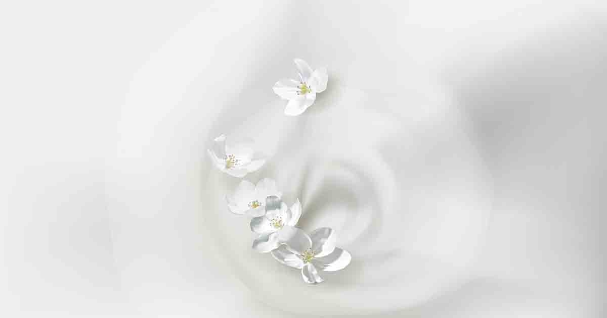 Chia sẻ miễn phí file thiết kế Background sữa