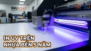 In UV trên nhựa: 7 điều cần biết để in bền, đẹp
