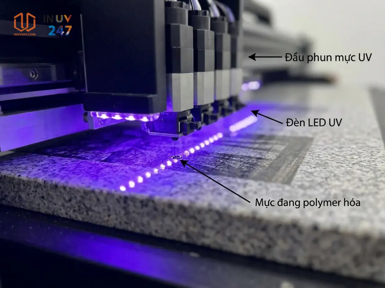 In UV trên đá là gì? - INUV247