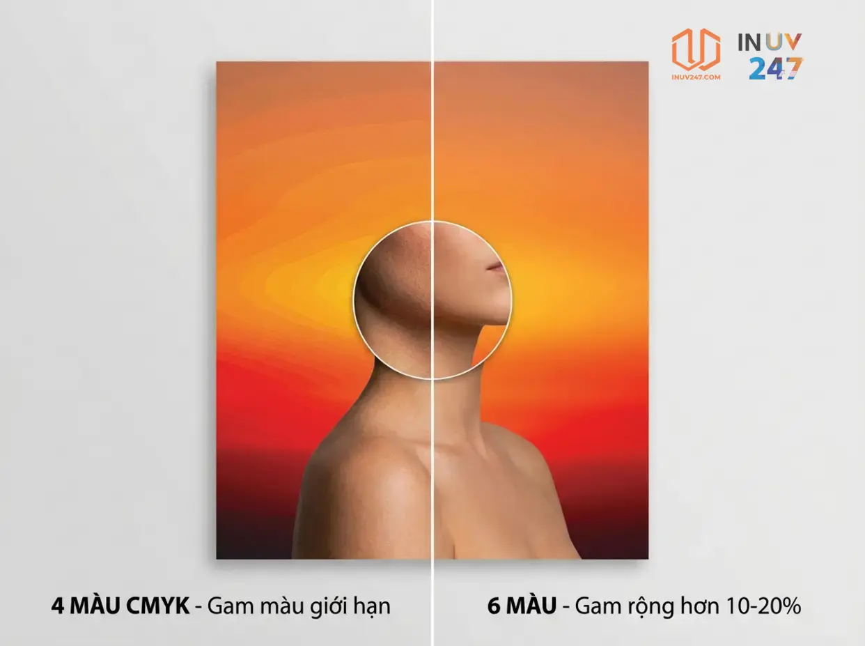 In UV 6 màu có ưu điểm gì so với 4 màu? - INUV247