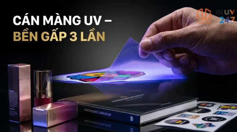 CÁN MÀNG UV – BỀN GẤP 3 LẦN - INUV247
