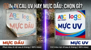 In UV trên decal PP: ứng dụng, độ bền và chi phí thực tế in ấn