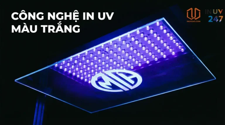 TRẮNG LÀ NỀN TẢNG CỦA MỌI MÀU - INUV247