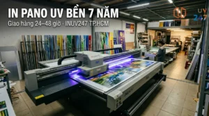 PANO UV BỀN 7 NĂM - INUV247